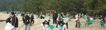 Clean-up Campaign
